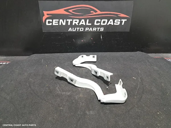 Bonnet Hinge/Strut