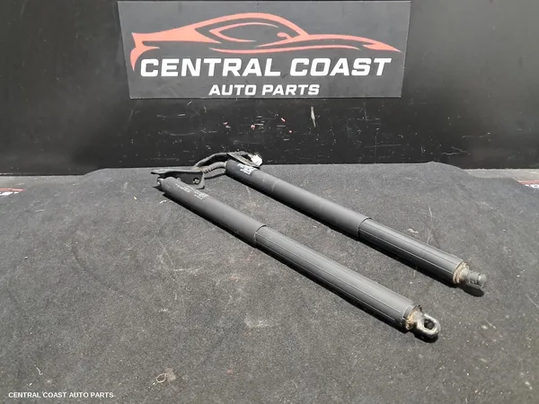 Hatch Strut