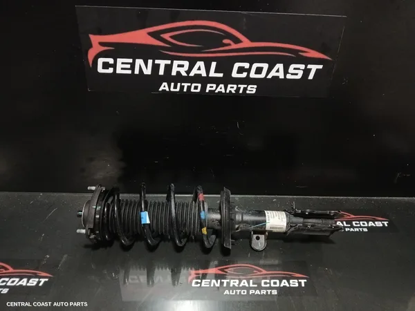 Left Front Strut