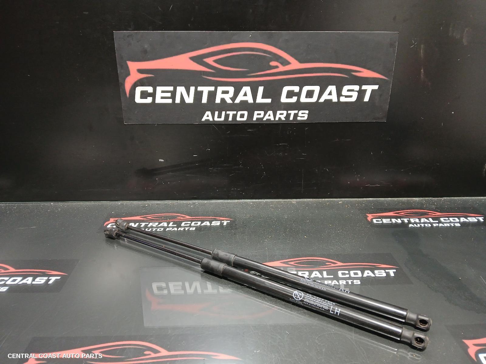 Hatch Strut