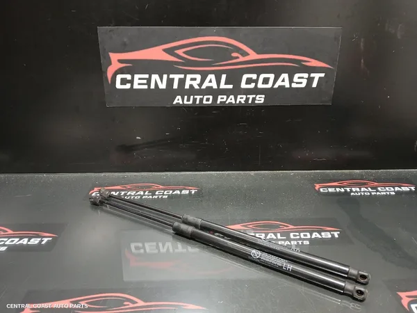 Hatch Strut