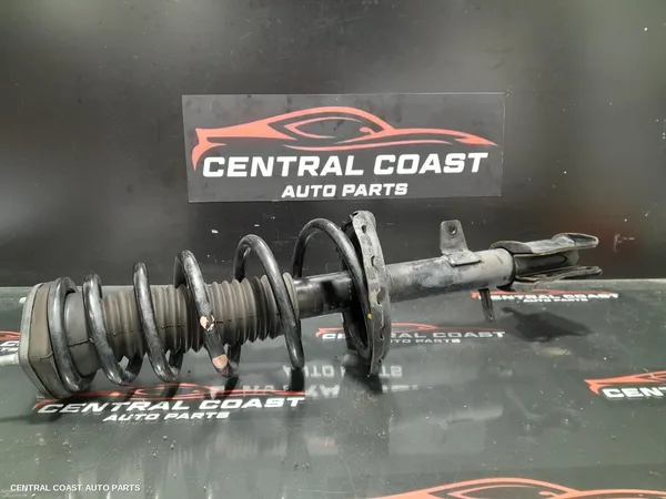 Left Rear Strut