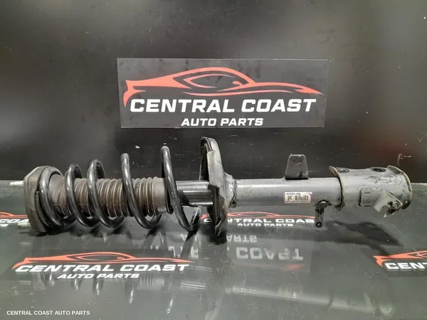 Right Rear Strut