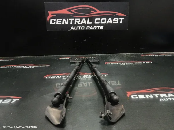 Hatch Strut