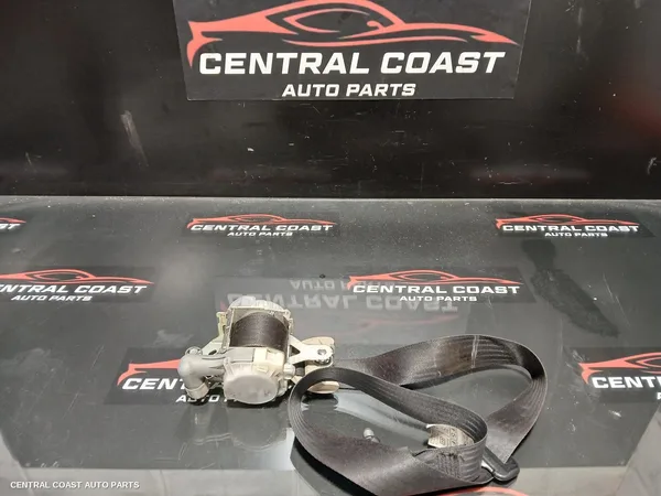 Seatbelt/Stalk