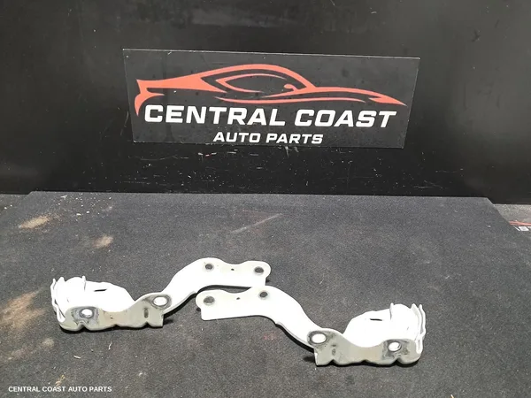 Bonnet Hinge/Strut