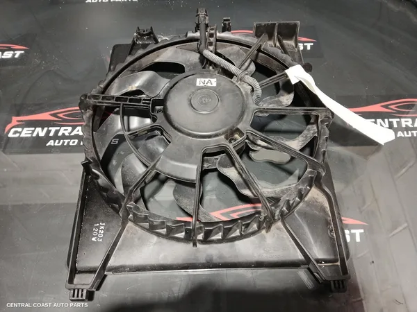 Fan