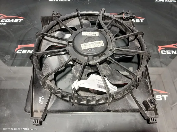 Fan