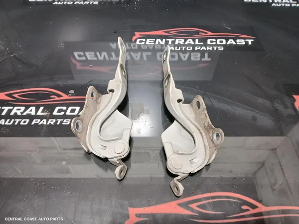 Bonnet Hinge/Strut
