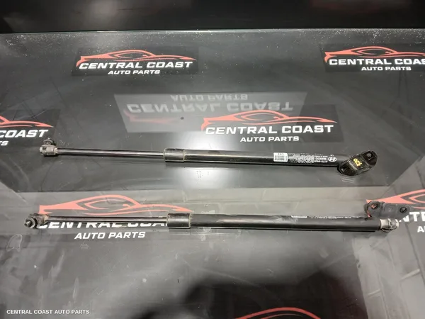 Hatch Strut