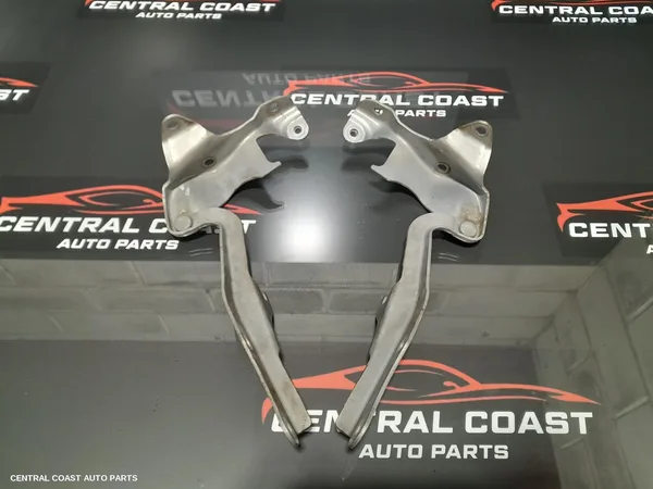 Bonnet Hinge/Strut
