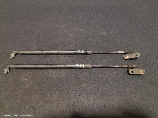 Bonnet Hinge/Strut