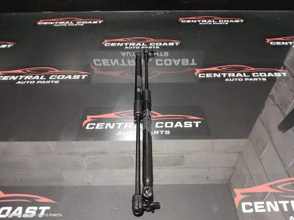 Hatch Strut