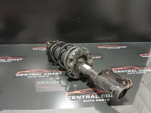 Left Front Strut