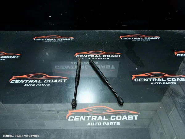 Hatch Strut