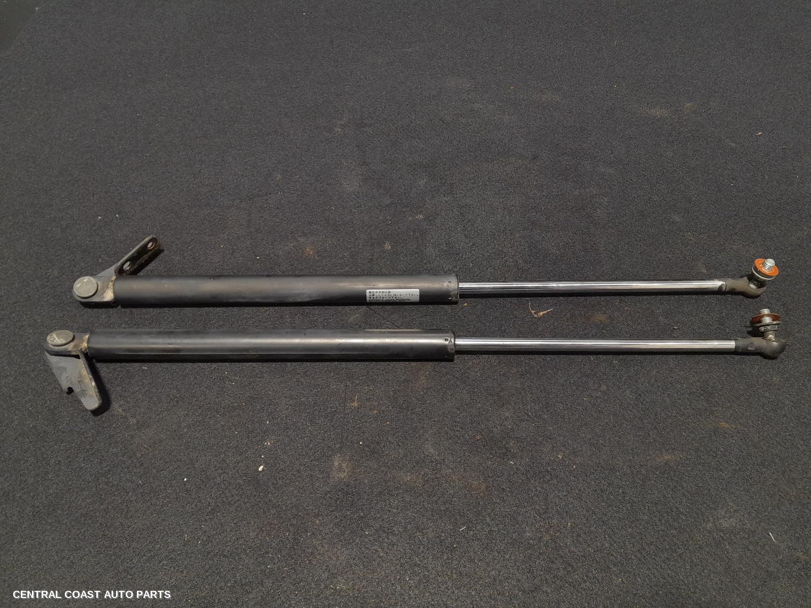 Hatch Strut