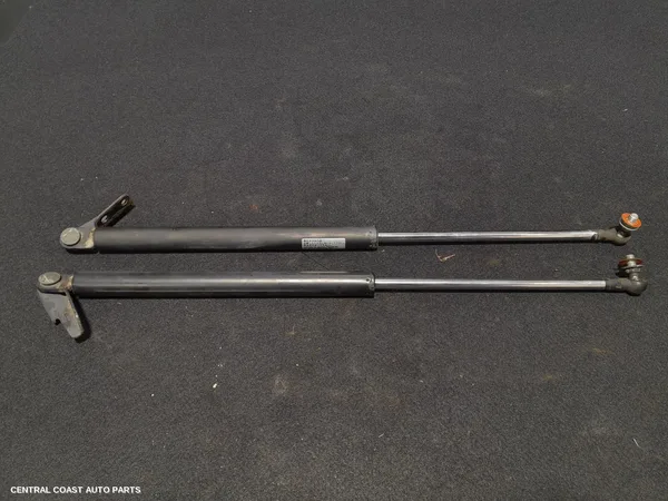 Hatch Strut