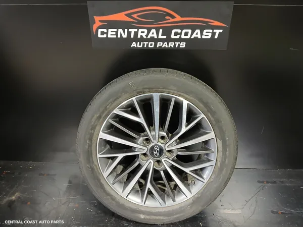 Wheel Mag