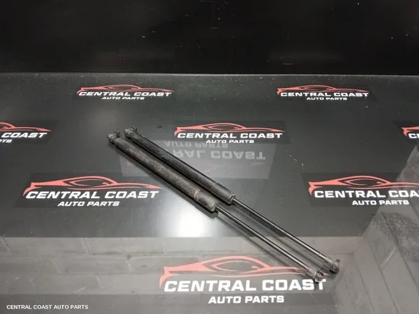 Hatch Strut