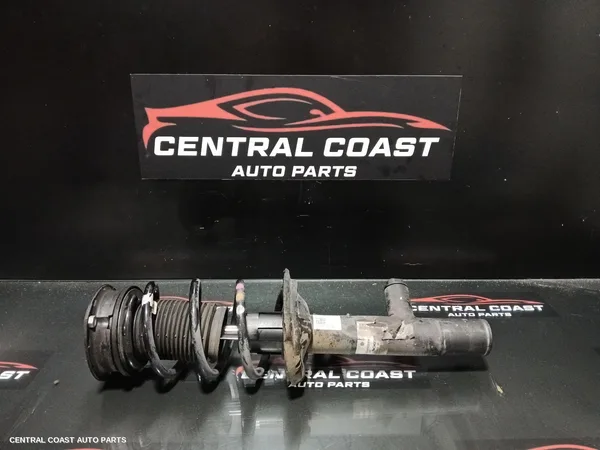 Left Front Strut
