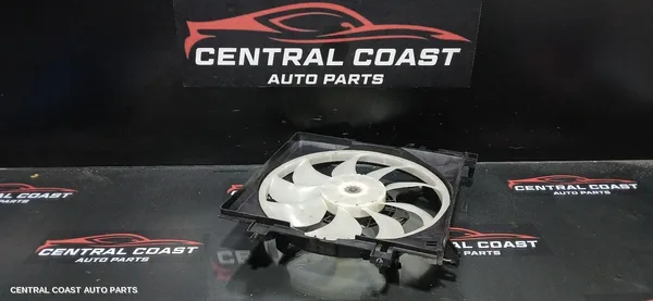 Fan