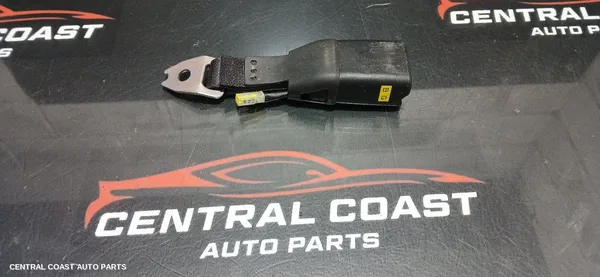 Seatbelt/Stalk