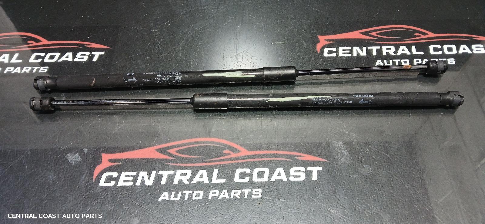 Hatch Strut