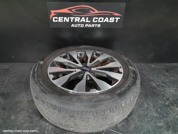 Wheel Mag