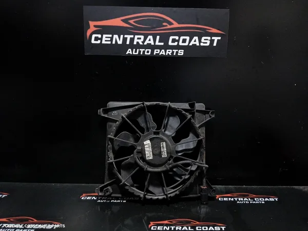 Fan
