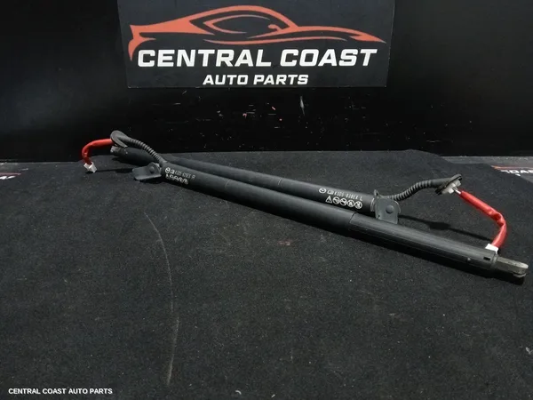Hatch Strut