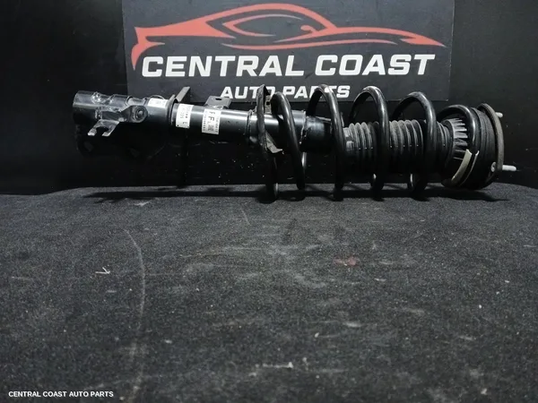 Left Front Strut