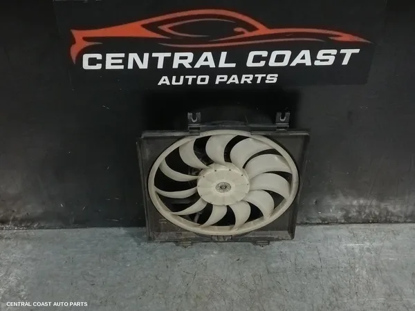 Fan