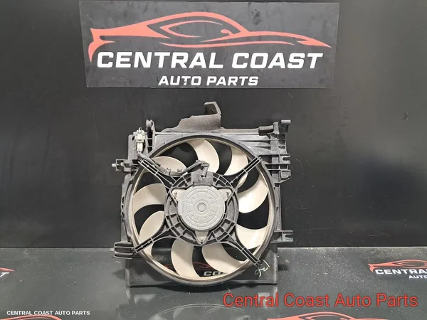 Fan