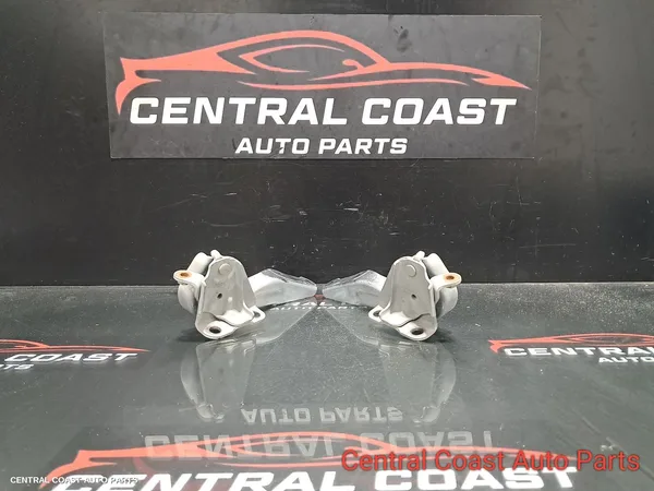Bonnet Hinge/Strut