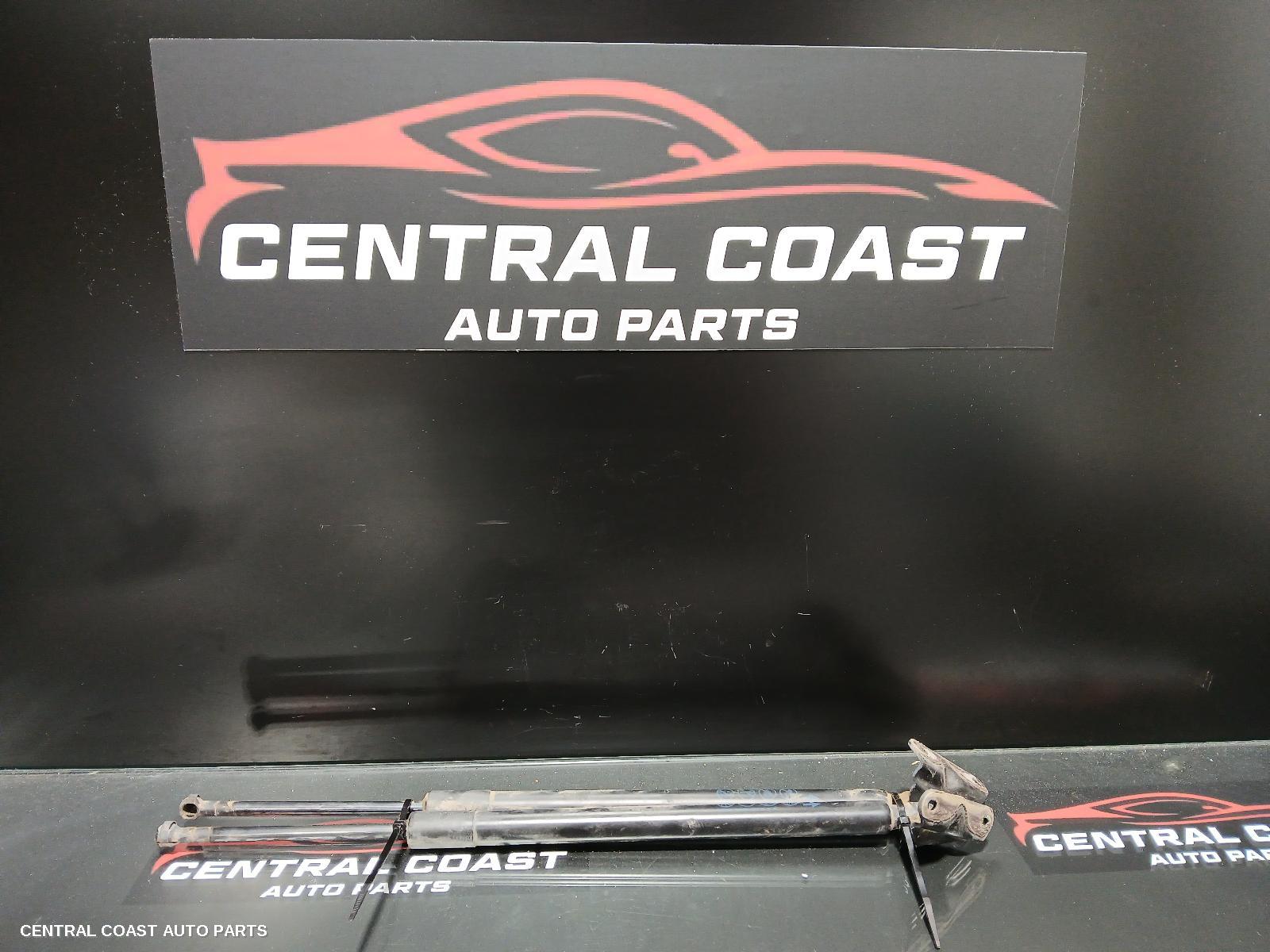 Hatch Strut