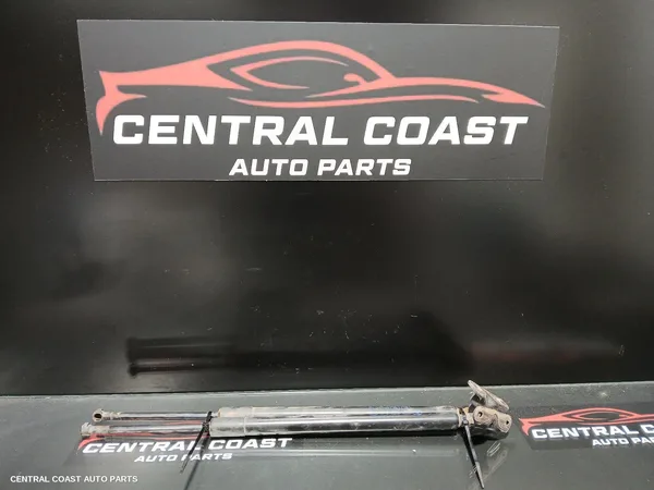 Hatch Strut