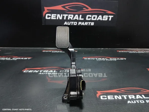 Pedal Assembly