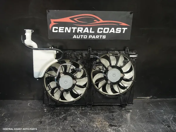 Fan