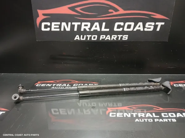 Hatch Strut