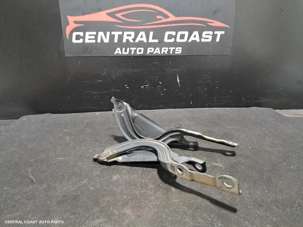 Bonnet Hinge/Strut