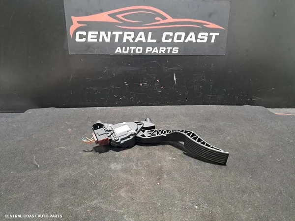 Pedal Assembly