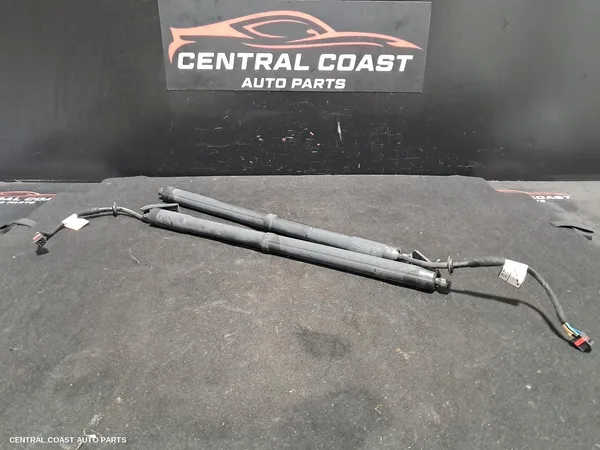 Hatch Strut
