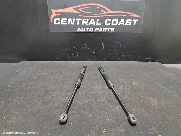 Hatch Strut