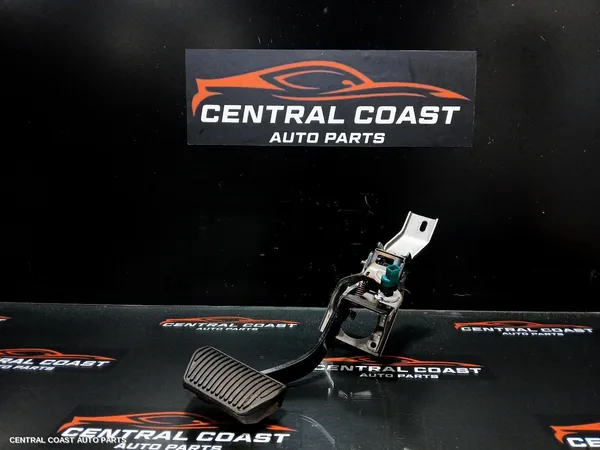 Pedal Assembly