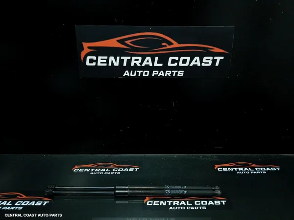 Hatch Strut
