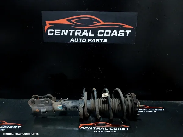 Left Front Strut