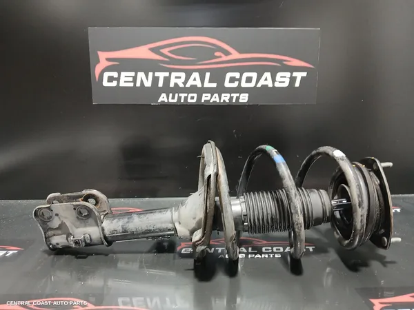 Left Front Strut