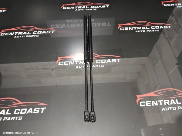 Bonnet Hinge/Strut