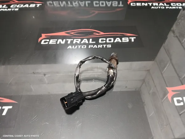 Oxygen Sensor
