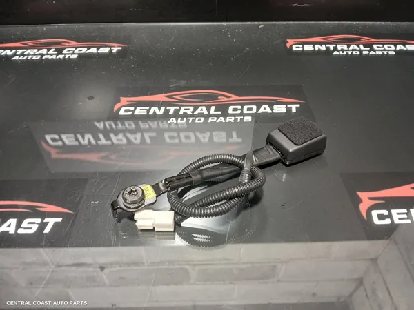 Seatbelt/Stalk